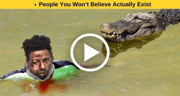 Crocodile attacked a person swimming in the river