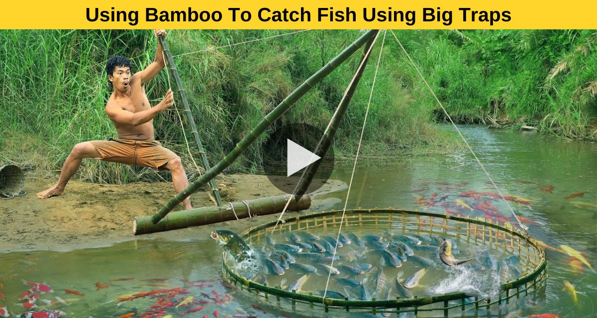 Using Bamboo To Catch Fish