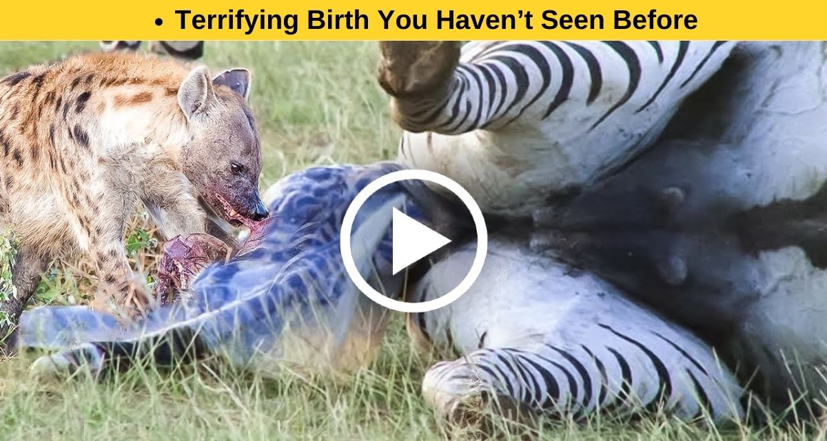 Terrifying Birth You Haven’t Seen Before