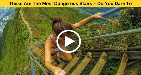 All my adventurous audience, are you all set to vanquish these stairs?