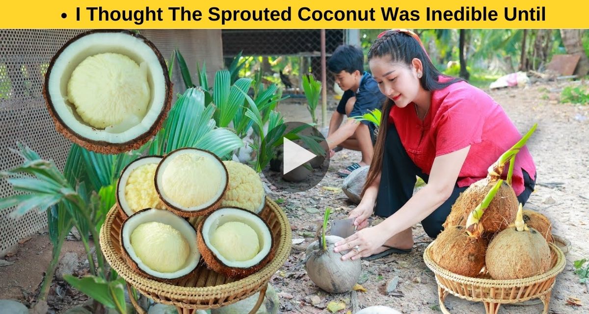 Never thought sprouted coconuts would taste so good .!