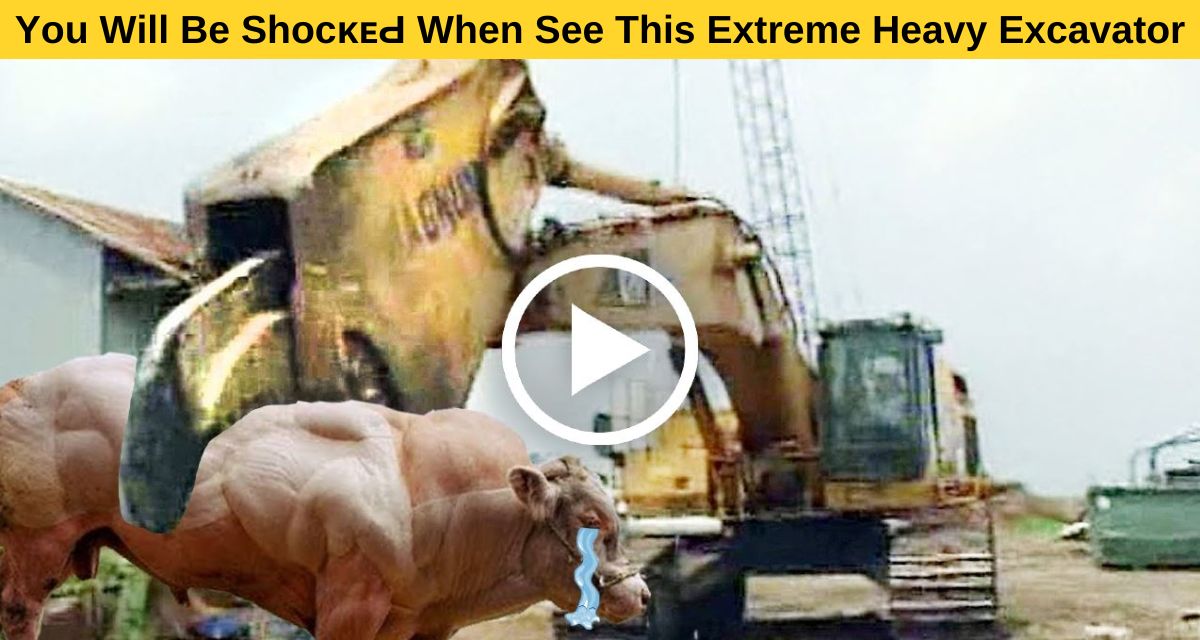 Huge excavators knock down every single thing