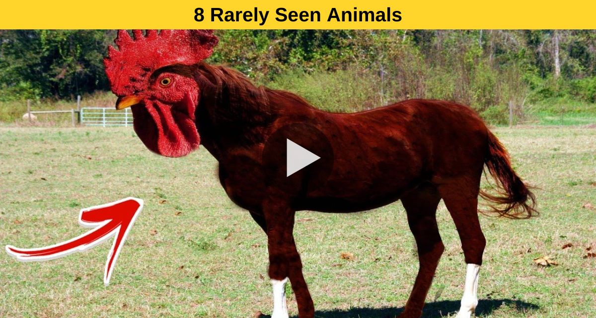 8 Rarely Seen Animals