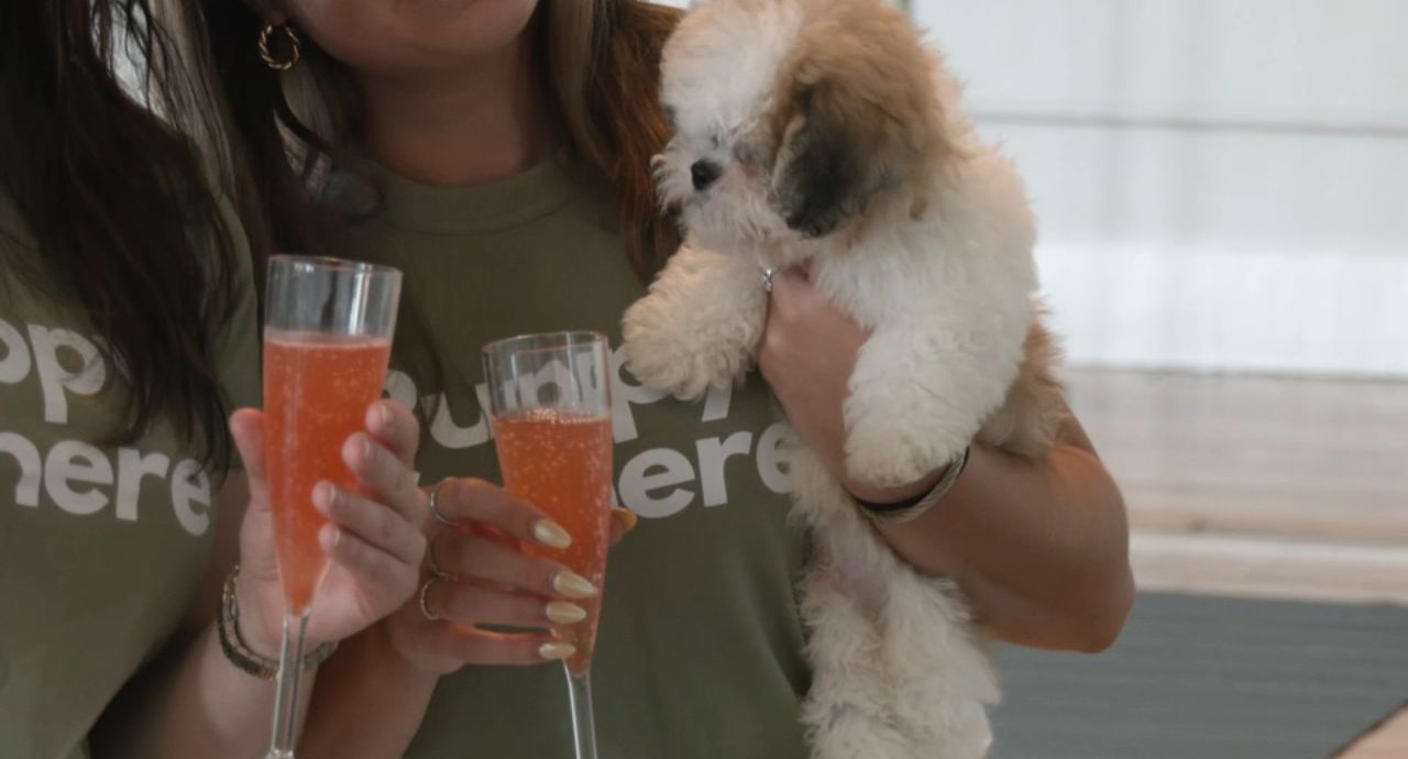 A puppy yoga studio