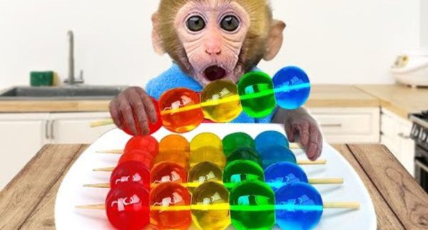 Monkey Baby Bon Bon eats rainbow jelly with puppies and bathes with ducklings in the bathroom – watch video