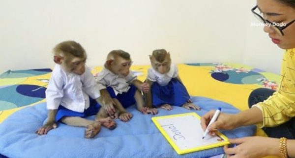 Three Adorable Very Patient When Learn To Write Their Name With Mom In English – Watch Full Video