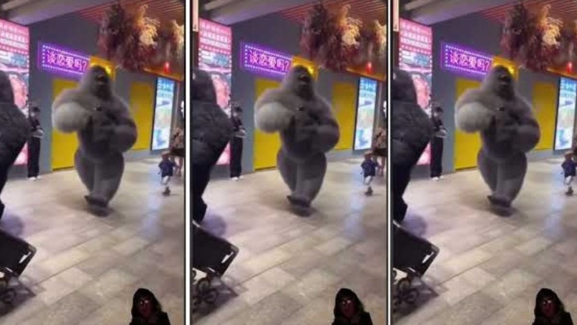 Gorilla Dancing in the Mall Video Viral