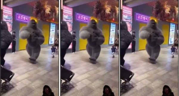 Gorilla Dancing in the Mall Video Viral – Watch Full Video